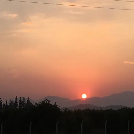 Bed & Breakfast Caktug