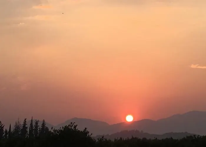 Oda ve Kahvaltı Caktug